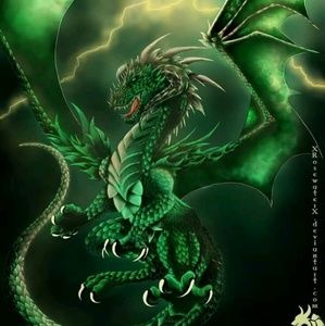 Meet your Posher, Terri